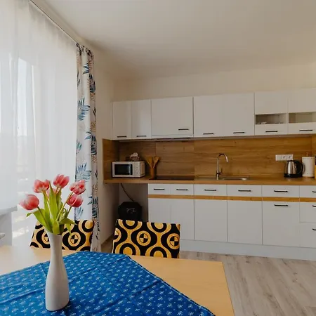 Zara Lägenhet Nová Lesná